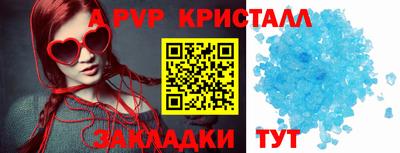 индика Ставрополь