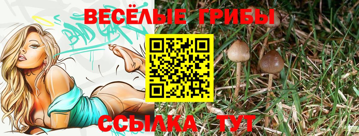 Галлюциногенные грибы мухоморы  купить наркоту  Муравленко  Вход с VPN  Галлюциногенные грибы Magic Shrooms 